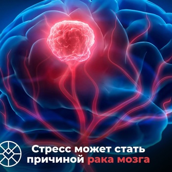 СТРЕСС МОЖЕТ СТАТЬ ПРИЧИНОЙ РАКА МОЗГА - Средства массовой информации