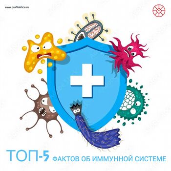 ТОП-5 ФАКТОВ ОБ ИММУННОЙ СИСТЕМЕ - Средства массовой информации