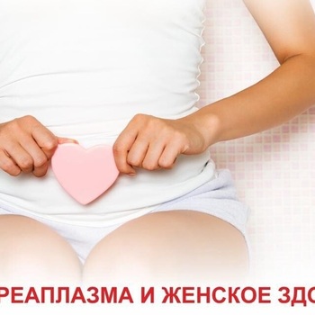 УРЕАПЛАЗМА – ЕЩЕ ОДНА БАКТЕРИЯ, ОПАСНАЯ ДЛЯ ЖЕНЩИН - Средства массовой информации